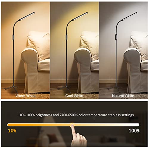 LED Floor Lamp - Adjustable Gooseneck